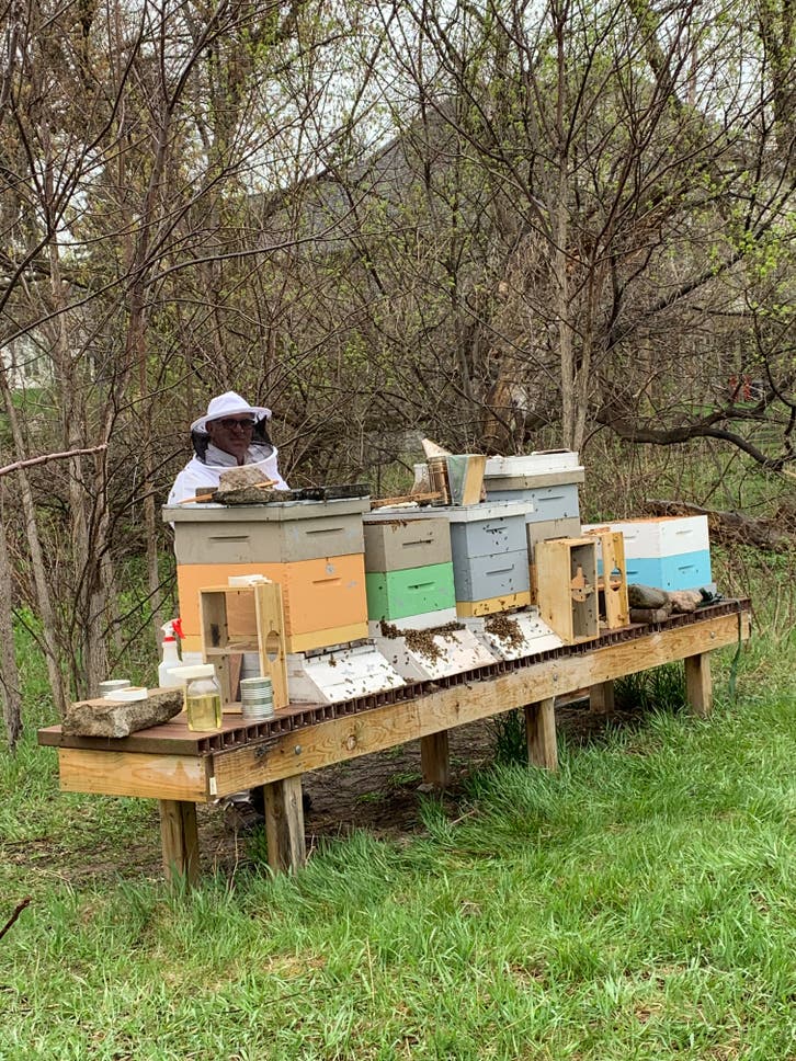 Discover the fascinating process of honey extraction and taste fresh honey guided by expert beekeepers.