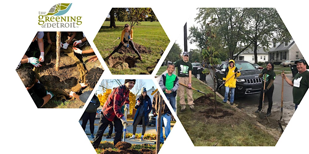 Community members actively participate in a tree planting event with 'The Greening of Detroit,' reinforcing urban forest restoration efforts in the city.