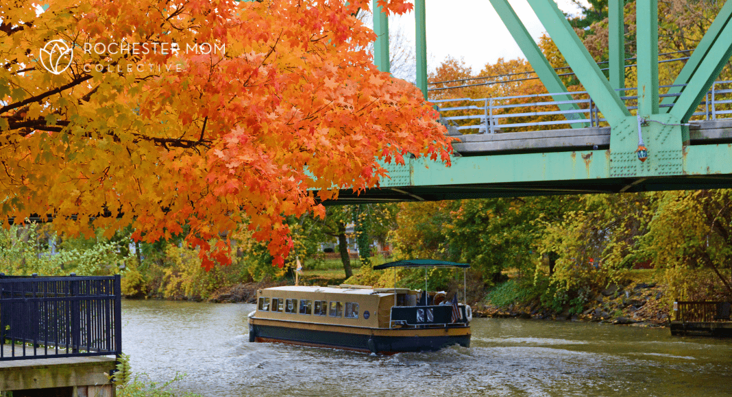 Explore Rochester's neighborhoods for affordable housing options and economic growth.